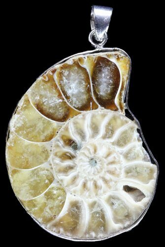 Fossil Ammonite Pendant - Million Years Old #89825